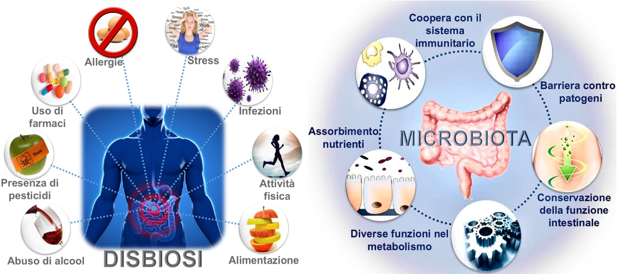 E’ COLPA DEL TUO MICROBIOTA